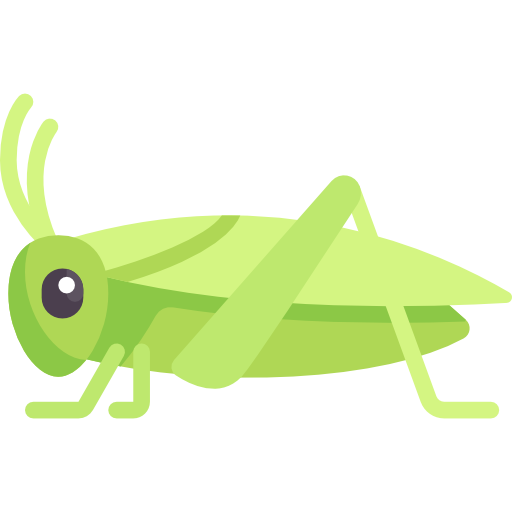 cricket.png