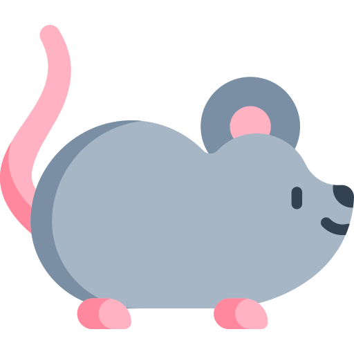 mouse.png